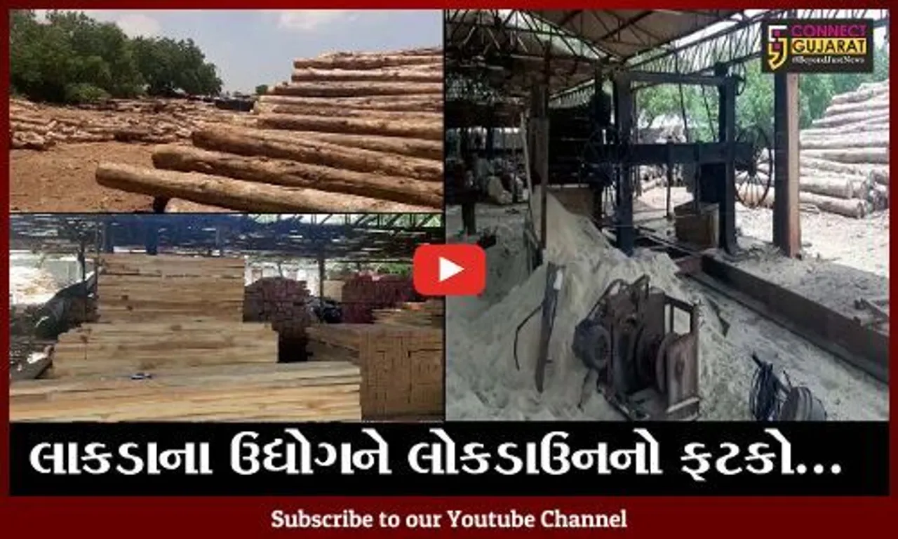 કચ્છ : ટીમ્બરના ઉદ્યોગના વ્યવસાયકારો મુકાયા ભીંસમાં, લાકડાની માંગમાં થયો ઘટાડો
