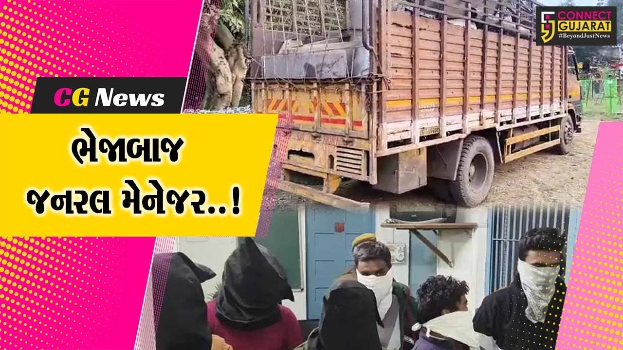 ભરૂચ : આદિત્ય બિરલા ગ્રાસીમ કંપનીને રૂ. 3 કરોડનો ચૂનો ચોંપડનાર કંપનીના જનરલ મેનેજર સહિત 6 આરોપી ઝબ્બે