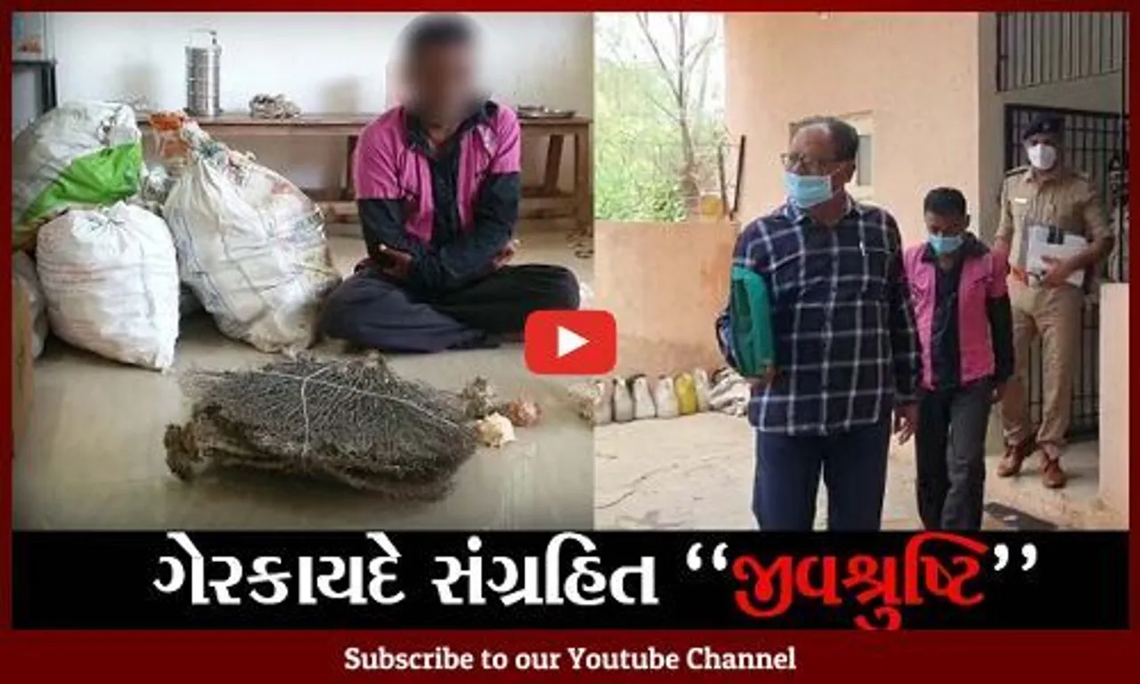 દેવભૂમિ દ્વારકા : દરિયાઈ જીવશ્રુષ્ટિના જથ્થા સાથે એક ઇસમની ધરપકડ, વન વિભાગે તપાસ હાથ ધરી