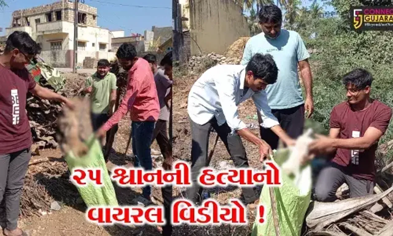 ગીરસોમનાથ: આ ગામમાં એક સાથે 25 શ્વાનોની સામૂહિક હત્યા થઈ હોવાનો ચોંકાવનારો વિડીયો વાયરલ,જુઓ શું છે તથ્ય