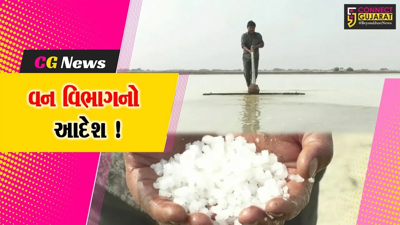 સુરેન્દ્રનગર: અભ્યારણ્યમાં અગરિયાકાર્ડ ધરાવતા અગરિયાઓ જ આગામી સિઝનમાં પ્રવેશ મેળવી શકશે