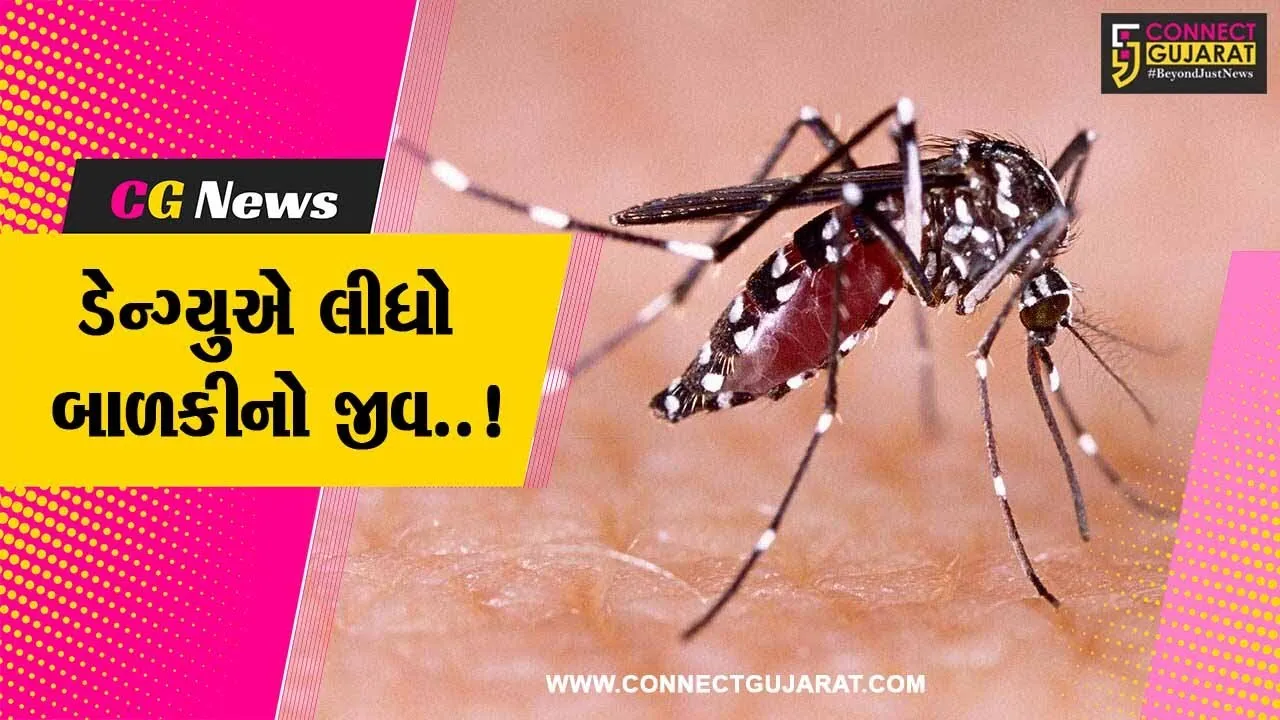 ભાવનગર : સિહોરમાં ડેન્ગ્યુએ લીધો એક બાળકીનો જીવ, આરોગ્ય વિભાગ દોડતું થયું...