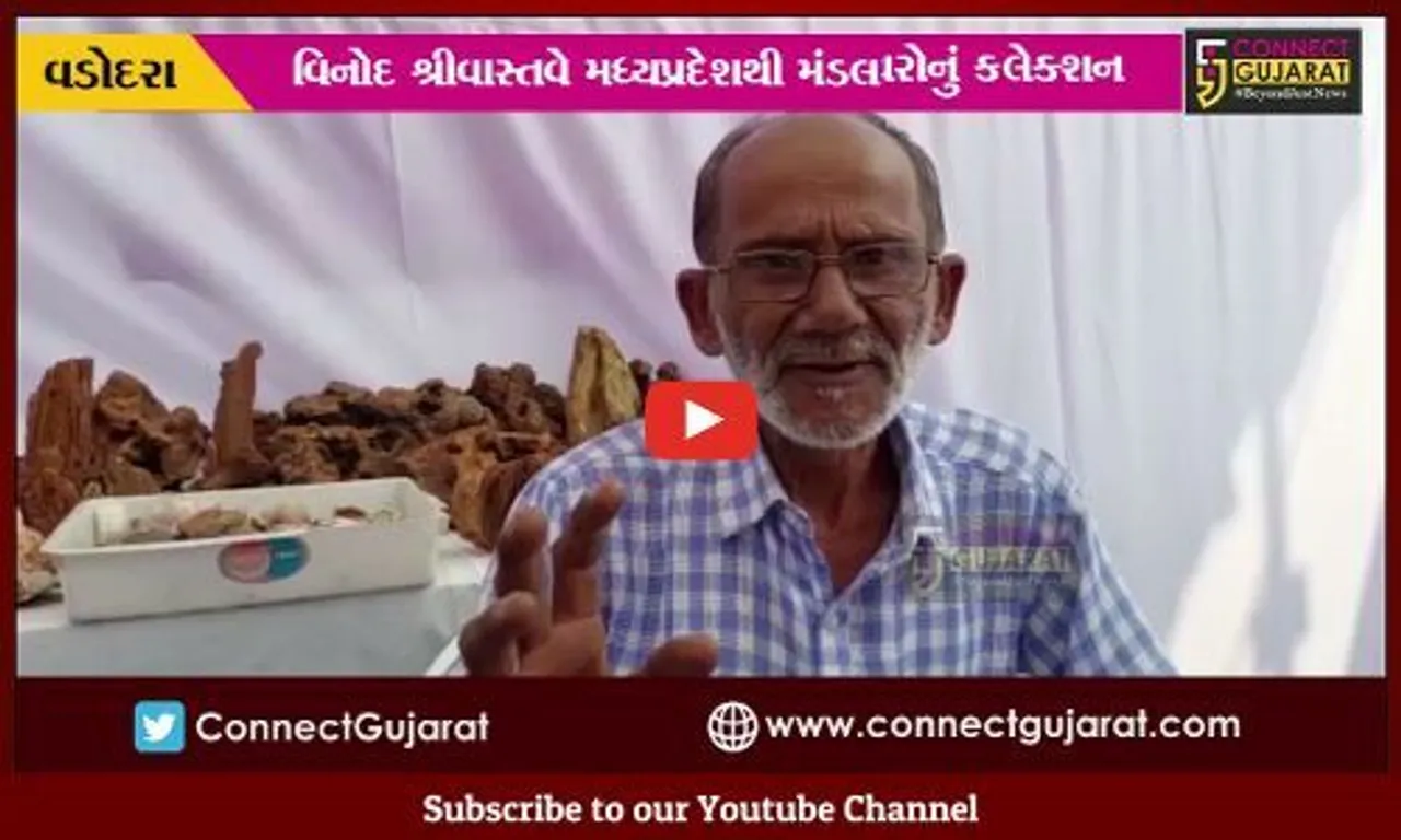 વડોદરા : લ્યો બોલો... અહીના પથ્થરો તો જાણે બોલે છે, જોઈને તમે પણ થઈ જશો સ્તબ્ધ..!