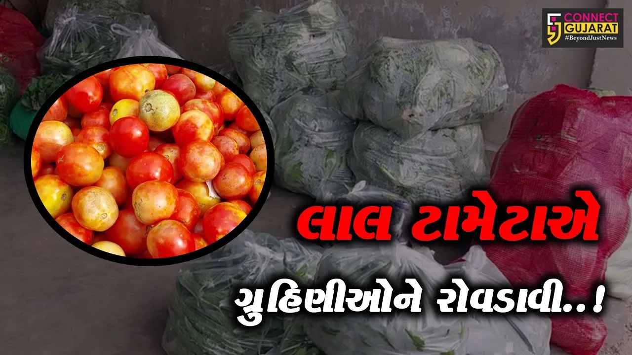 શાકભાજીના “હબ” ગણાતા સાબરકાંઠા જીલ્લામાં ટામેટા સહીતની શાકભાજીના ભાવ આસમાને પહોચ્યા...
