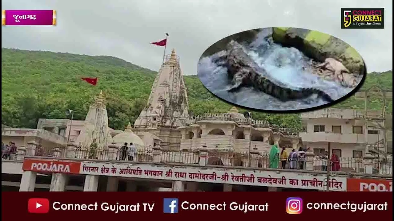 જૂનાગઢ દામોદર કુંડમાં સ્નાન કરતા પહેલા જોઈ લો આ વિડિઓ, નહીંતર મોતના મુખમાં હોમાઈ જશો