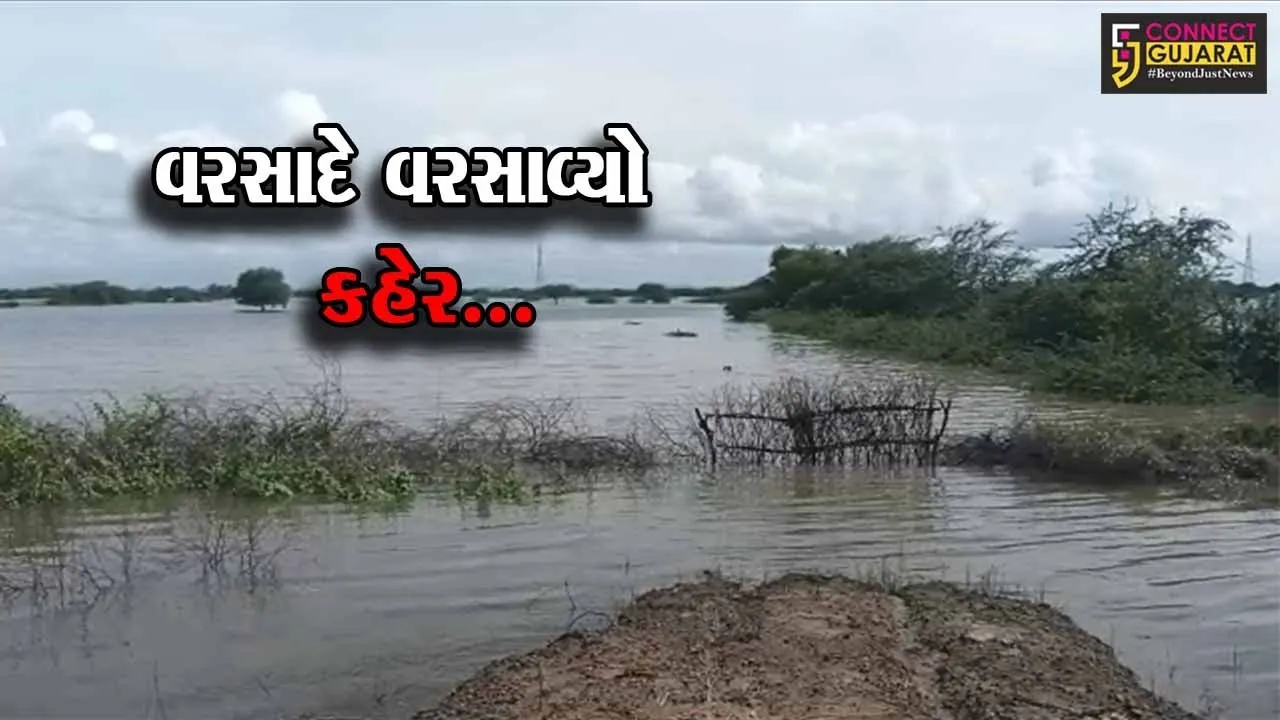 ભાવનગર : ભારે વરસાદ વરસતા કાળુભા નદીમાં આવ્યું પૂર, ભાલ પંથક બેટમાં ફેરવાતા ખેડૂતોને હાલાકી...