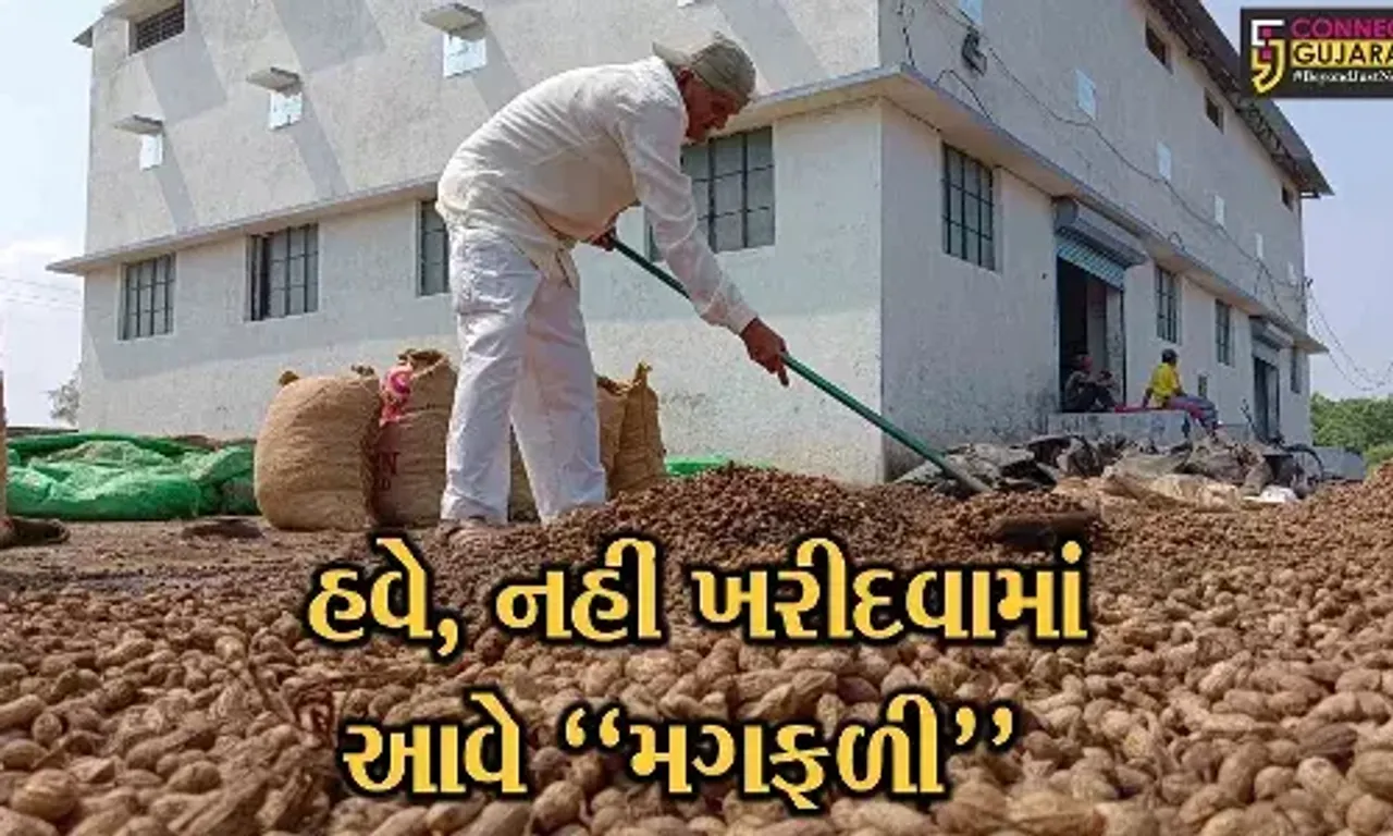 અમરેલી : સાવરકુંડલા APMCમાં વરસાદના કારણે મગફળી પલળી, વેપારીઓને મોટું નુકશાન, તો શ્રમિકો બન્યા બેકાર...