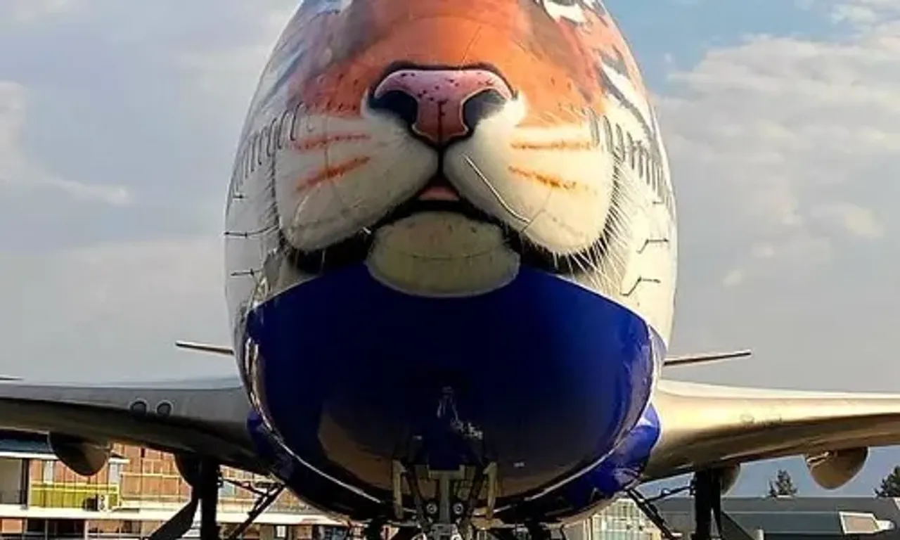 PM મોદીનાં બર્થ ડે પર નામીબિયાથી આઠ ચિત્તાને લઈને આવી પહોંચશે વિશેષ કાર્ગો વિમાન