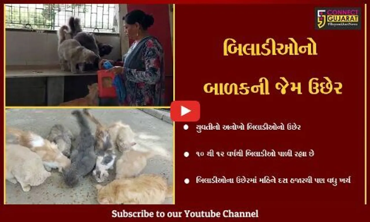 અંકલેશ્વર : પશુપ્રેમીનો "અનોખો" પશુપ્રેમ, એક સાથે 20 બિલાડીઓનો કરે છે ઉછેર...