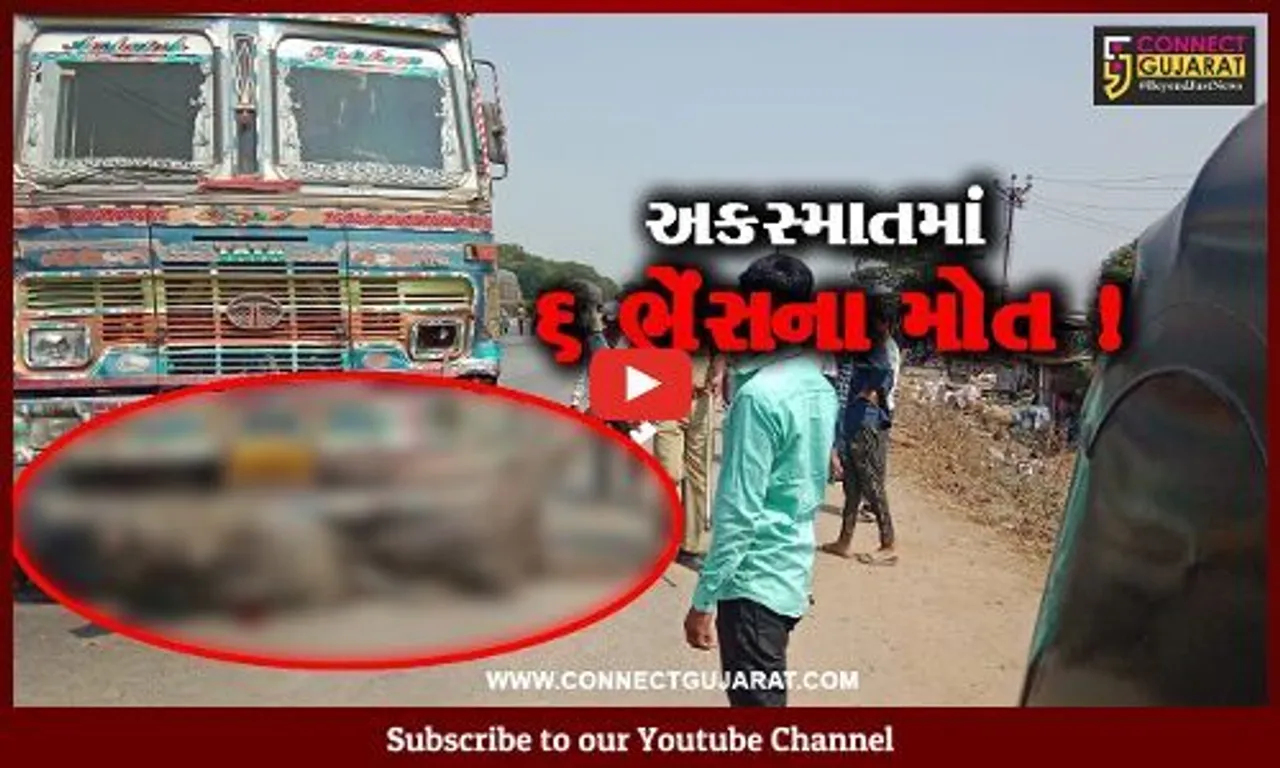 અંકલેશ્વર: નેશનલ હાઇવે પર ખરોડ ચોકડી નજીક હાઈવાની અડફેટે 6 ભેંસના મોત
