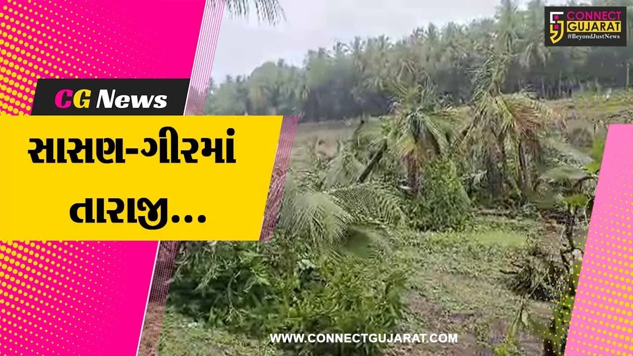 સાસણ-ગીર પંથકમાં ભારેથી અતિભારે વરસાદ વરસતા ખેડૂતોની પરિસ્થિતિ વધુ વિકટ બની..!