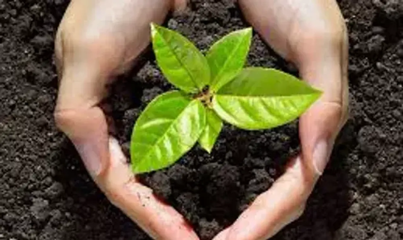 દિલ્હીમાં શરૂ થશે 'મારી માટી, મારો દેશ' અભિયાન,  દેશભરના ગામડે-ગામડેથી એક-એક મુઠ્ઠી માટી લઈને દિલ્હીમાં થશે 'અમૃત વાટિકા'નું નિર્માણ…