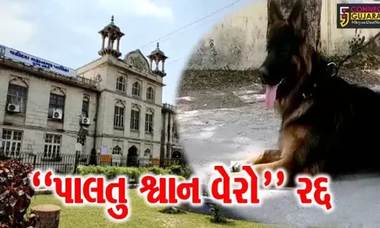 વડોદરા : દેશમાં પ્રથમ વખત પાલતુ શ્વાન પર વેરો વસુલવા મનપાના બજેટમાં સૂચન, જુઓ પછી શું થયું..!