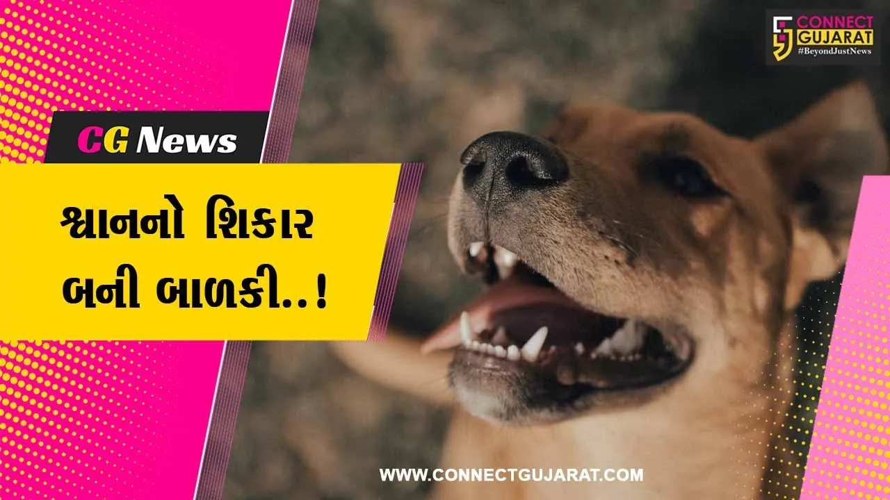 સુરત : 1 વર્ષીય બાળકી પર શ્વાનનો જીવલેણ હુમલો, બચકાં ભરી લેતા બાળકીની આંખ પર ગંભીર ઇજા...