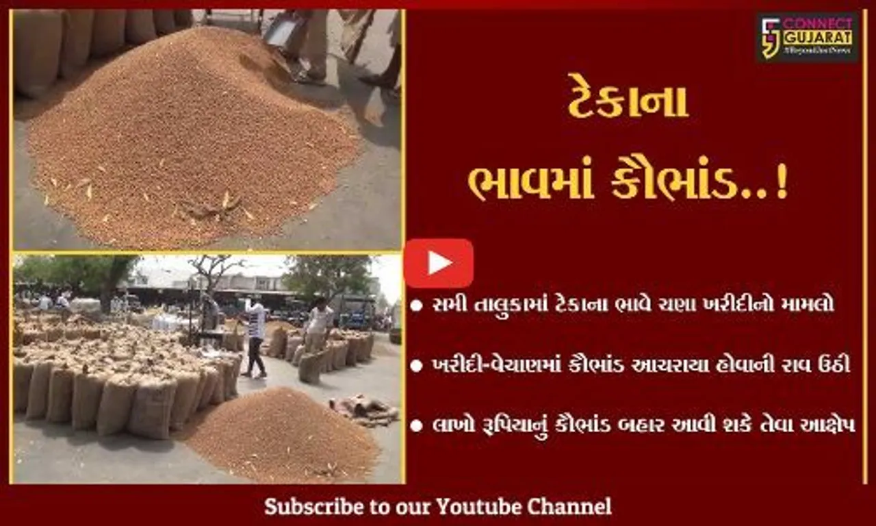 પાટણ : સમી માર્કેટ યાર્ડમાં ટેકાના ભાવે ચણા ખરીદ-વેચાણમાં કૌભાંડ આચરાયું હોવાના ખેડૂતોના આક્ષેપ..