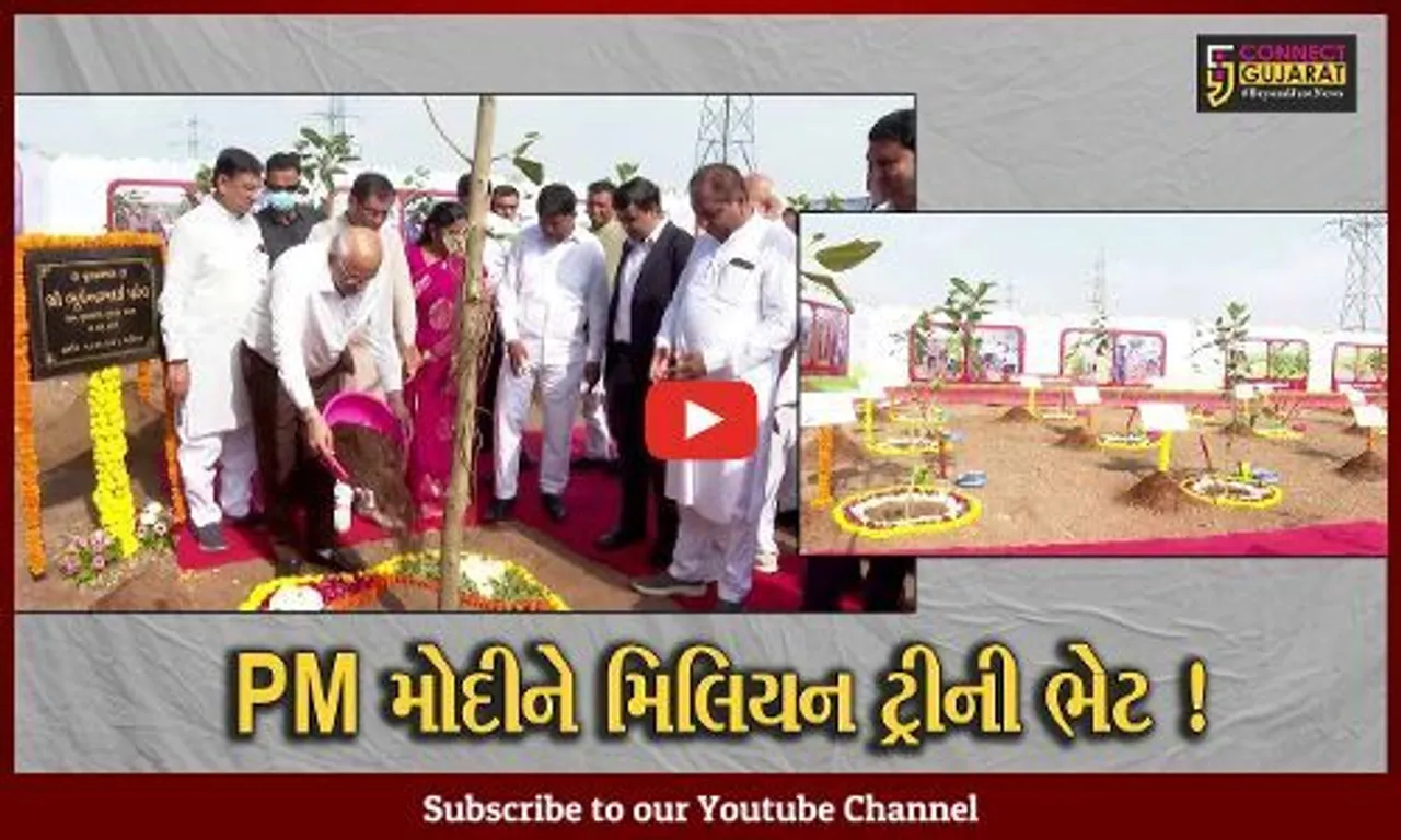 અમદાવાદ: PM નરેન્દ્ર મોદીના જન્મ દિવસ નિમિત્તે AMC દ્વારા શરૂ કરાયું 'મિશન મિલિયન ટ્રી' અભિયાન