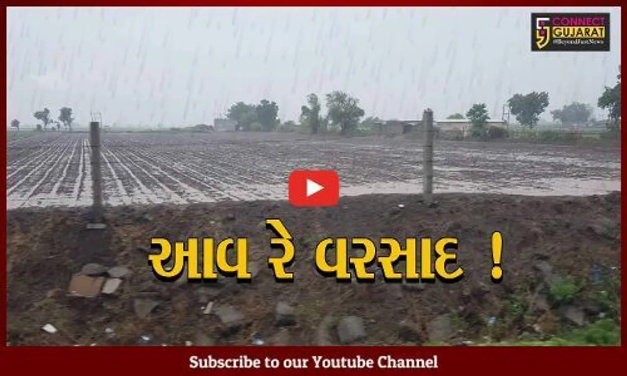 ગુજરાતમાં ચોમાસુ જામ્યું, વિવિધ જિલ્લાઓમાં ધોધમાર વરસાદ