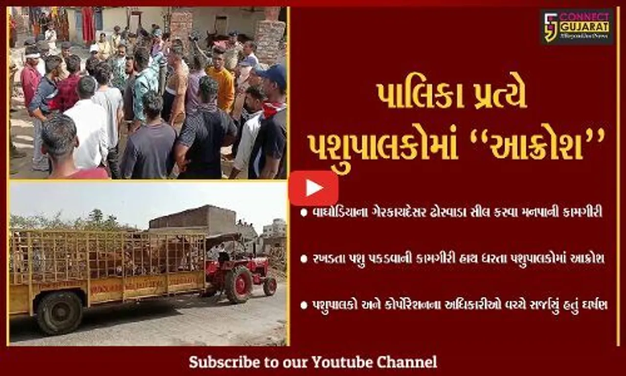 વડોદરા : ગેરકાયદેસર ઢોરવાડા સીલ કરવા મનપાની કામગીરી, અધિકારીઓ અને પશુપાલકો વચ્ચે સર્જાયું ઘર્ષણ