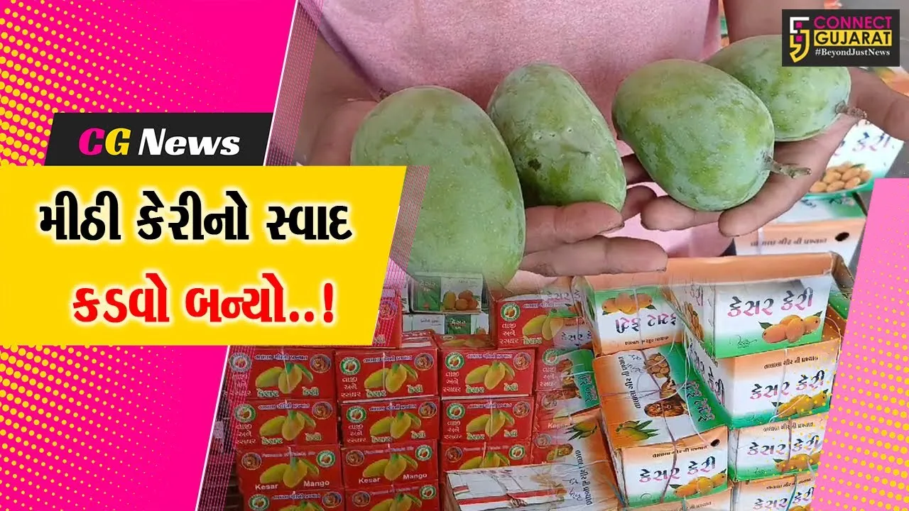 જુનાગઢ : માર્કેટિંગ યાર્ડમાં ફળોના રાજા કેરીની નહિવત આવક સામે વેપારીઓમાં નિરાશા..!