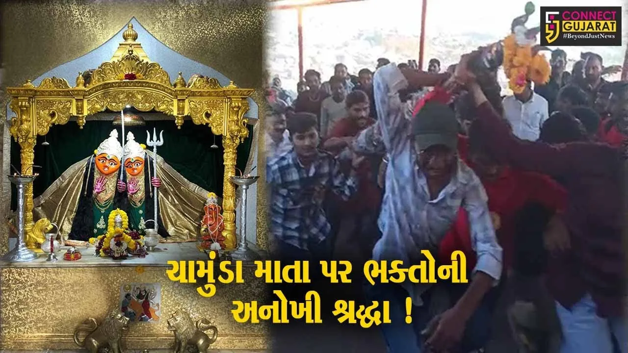 સુરેન્દ્રનગર: ચોટીલા ડુંગરના પગથિયા પર દોડી માતાજીને 52 ગજની ધજા અર્પણ કરાય