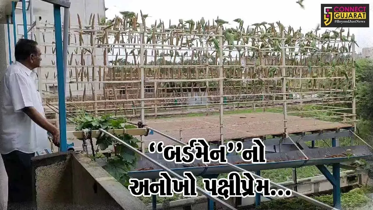 ગિરિનગરનો “પક્ષીપ્રેમી” પરિવાર : રોજ 5 હજાર પક્ષીઓને ચણ ખવડાવી સાર-સંભાળ લેતો કેશોદનો ખેડૂત પરિવાર...