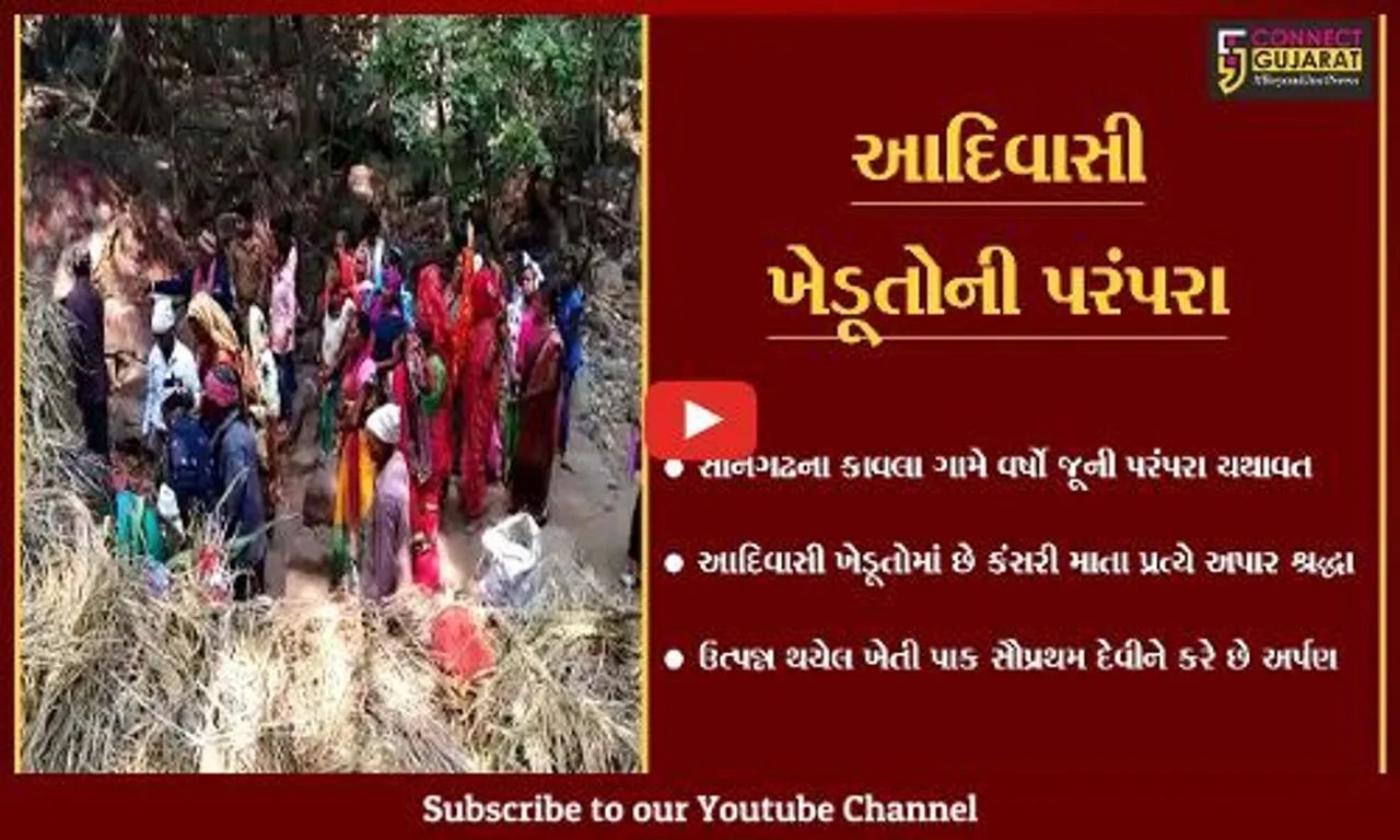 તાપી : આદિવાસી ખેડૂતોની અનોખી પરંપરા, કાવલા ગામે કંસરી માતાને ધરાવાય છે પહેલો પાક.