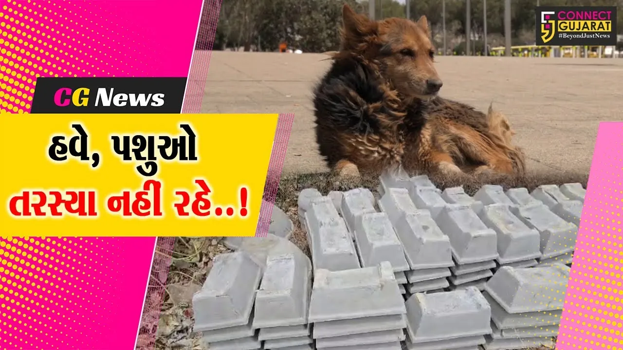 ભરૂચ : જંબુસરના શૈલજા ફોઉન્ડેશન દ્વારા પશુઓને પીવાના પાણીની સગવડ માટે લોકોને નિ:શુલ્ક કુંડાનું વિતરણ કરાયું