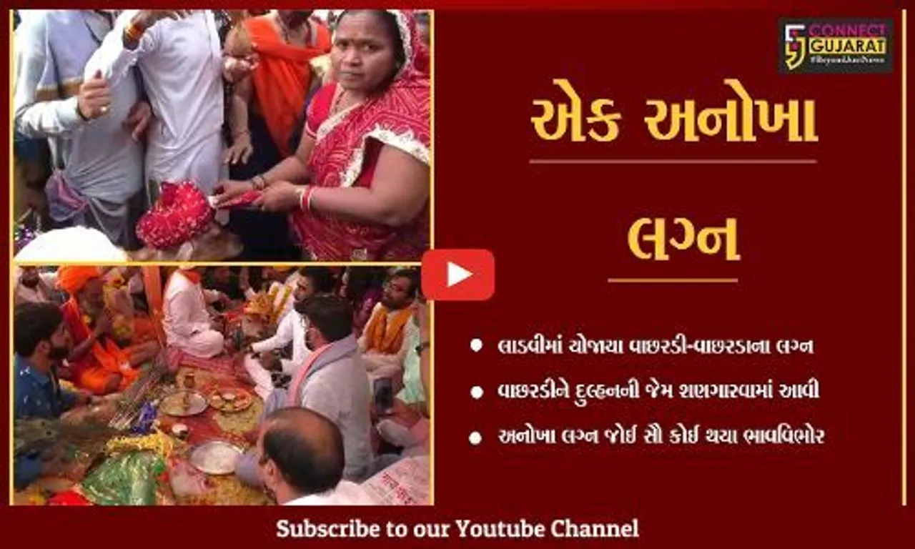 સુરત : લાડવી ગામે યોજાયા વાછરડી-વાછરડાના અનોખા લગ્ન…
