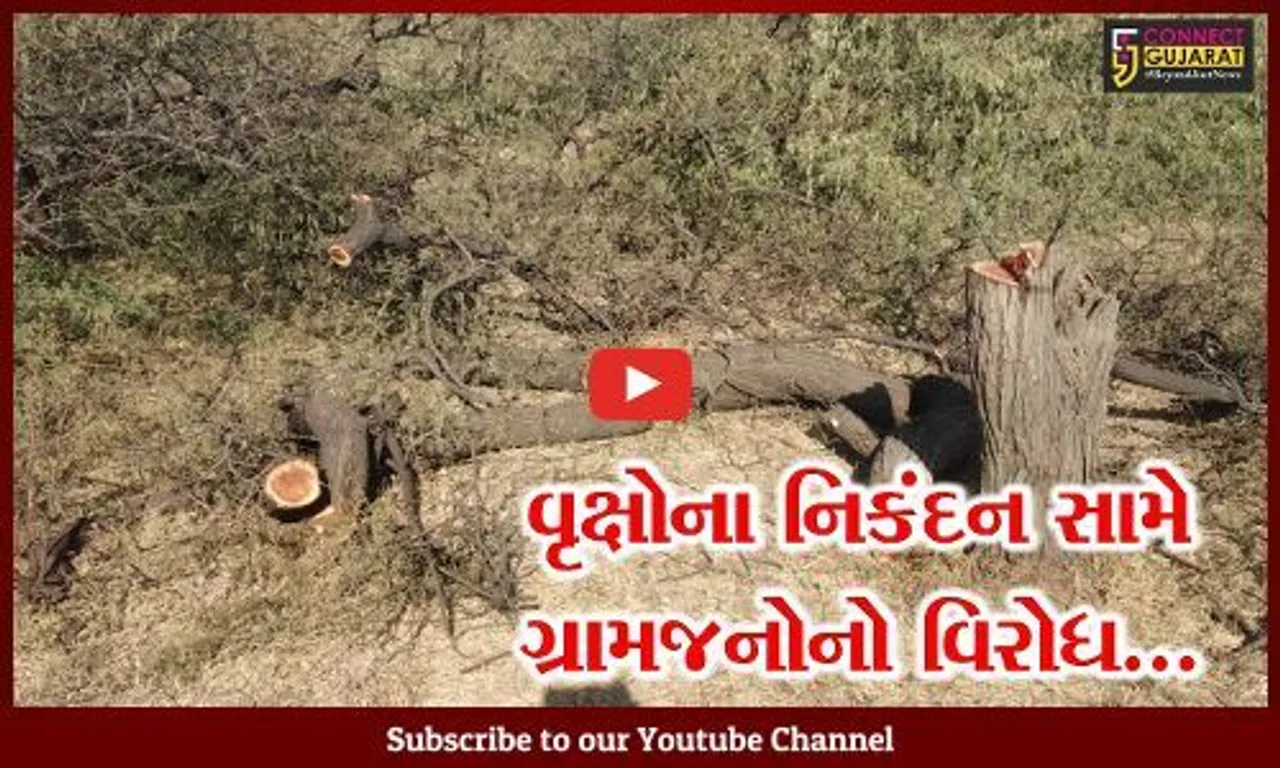 ભરૂચ : ગેરકાયદે દેશી બાવળના નિકંદન સામે કાયદેસરની કાર્યવાહી કરવા કડોદરાના ગ્રામજનોની માંગ...