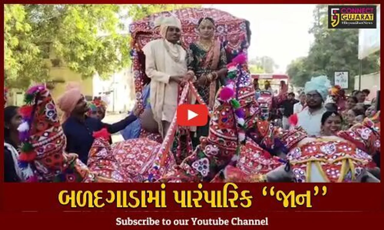 સુરેન્દ્રનગર : જુનવાણી રિતરીવાજો સાથે બળદ ગાડામાં નીકળી વરરાજાની જાન, લોકોમાં જમાવ્યું ભારે આકર્ષણ