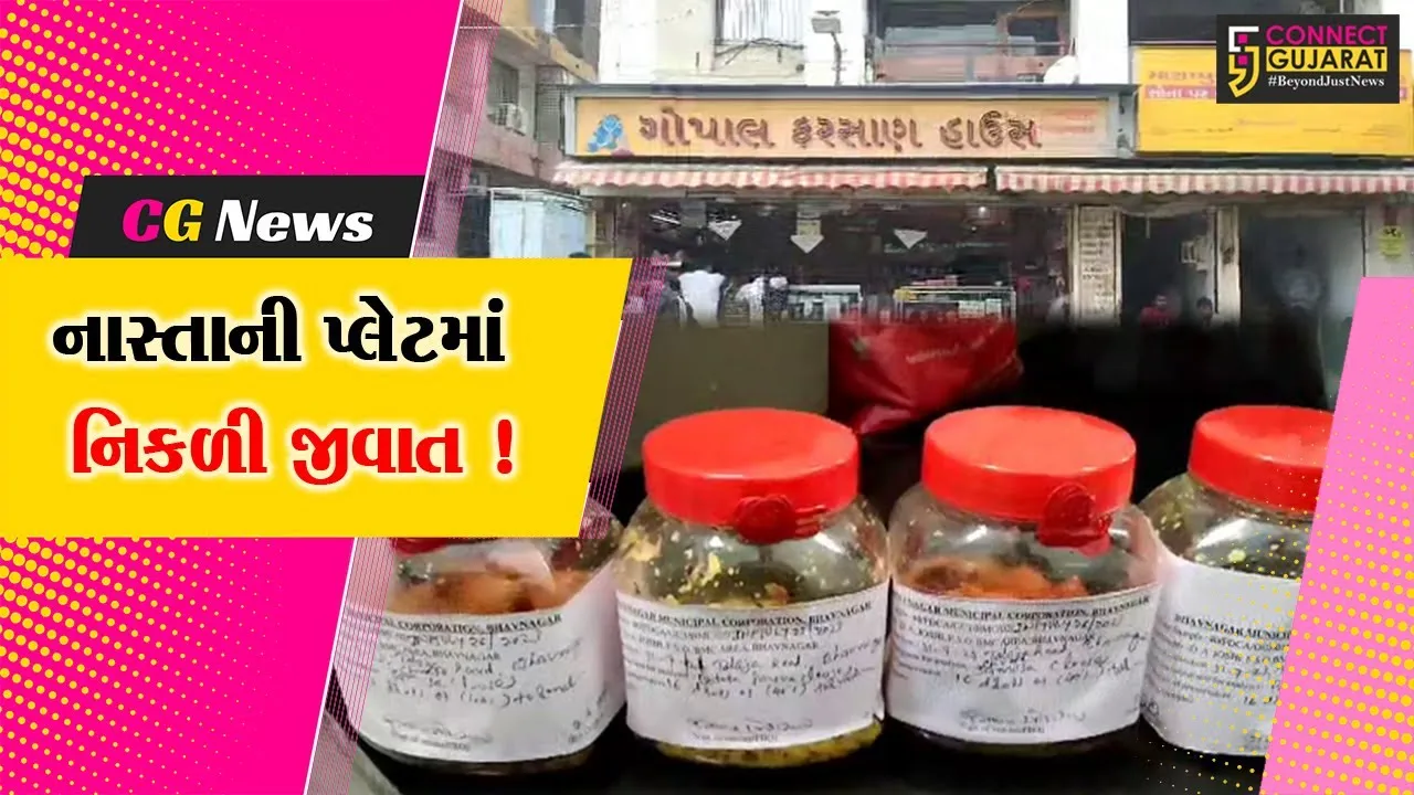 ભાવનગર: ફરસાણની દુકાનમાં નાસ્તો કરતા ગ્રાહકની પ્લેટમાં જીવાત નિકળ્યુ, આરોગ્ય વિભાગે તપાસ શરૂ કરી