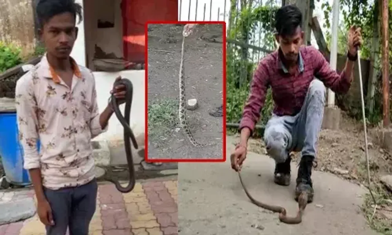 અંકલેશ્વર : 24 વર્ષીય યુવાન દ્વારા સમાજ સેવાનું ઉત્તમ ઉદાહરણ, વિનામુલ્યે સરીસૃપોને પકડી સોંપે છે વનવિભાગને...