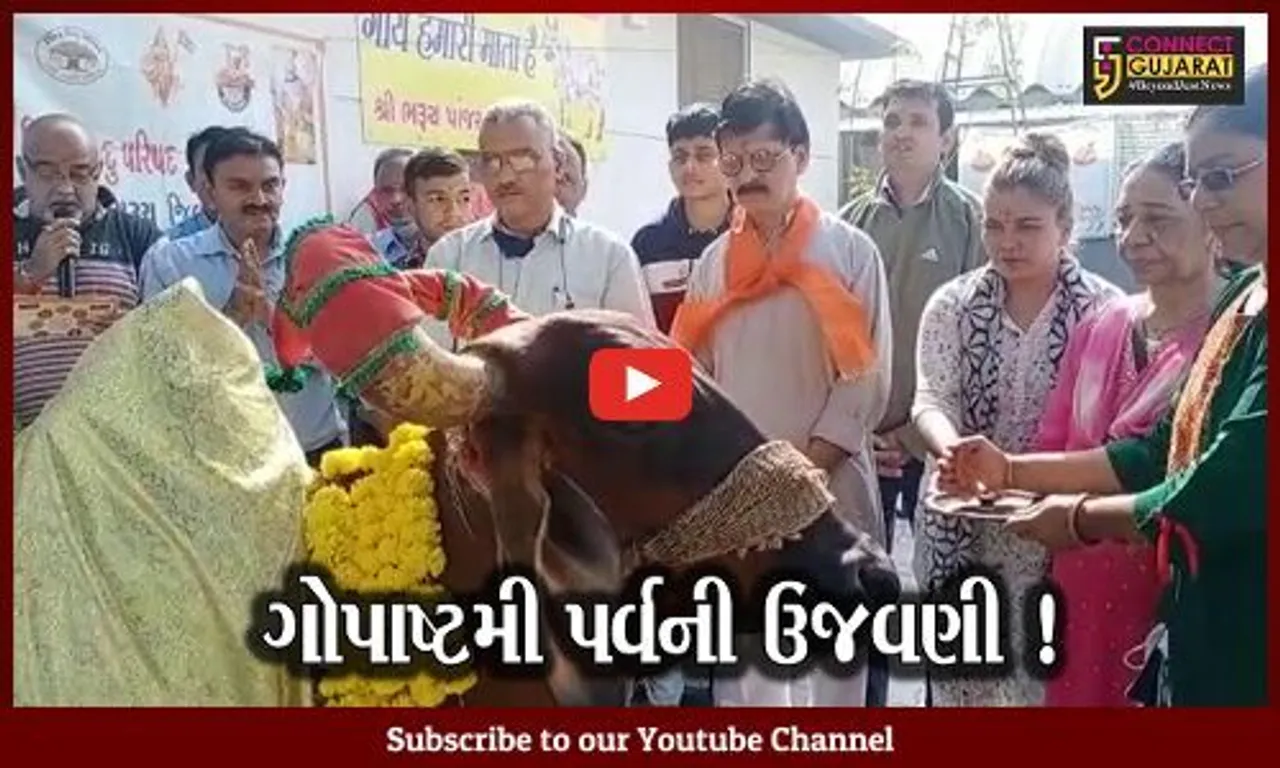 ભરૂચ: પાંજરાપોળ ખાતે ગોપાષ્ટમી પર્વની ઉજવણી, વિશ્વ હિન્દુ પરિષદના આગેવાનો જોડાયા