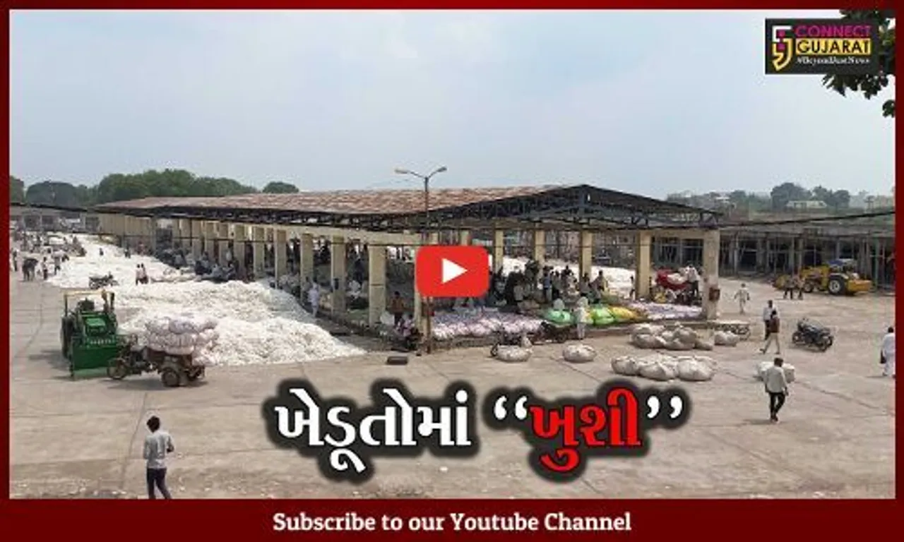 અમરેલી : બાબરા માર્કેટિંગ યાર્ડમાં કપાસની આવકમાં વધારો, સારો ભાવ મળતા ખેડૂતોમાં ખુશી.