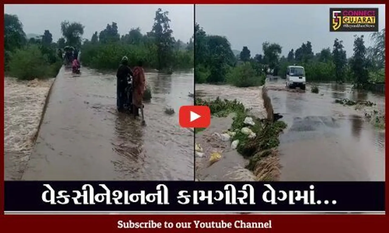 છોટાઉદેપુર : વેકસીનેશન માટે ચાર કીમીની "પદયાત્રા", પાકા રસ્તાના અભાવે કર્મચારીઓને હાલાકી