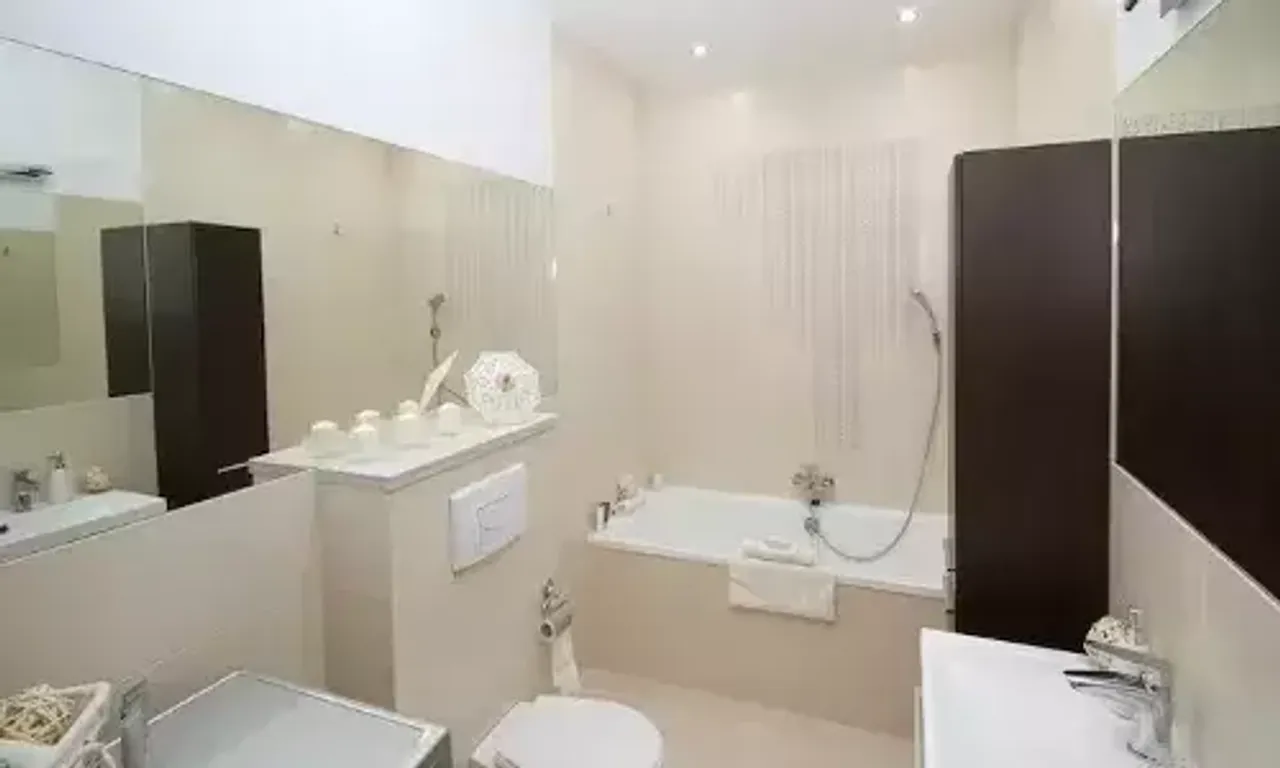 બાથરૂમમાં રહેલી નકારાત્મક ઊર્જાને કેવી રીતે દૂર કરવી? જાણો ઉપાય....