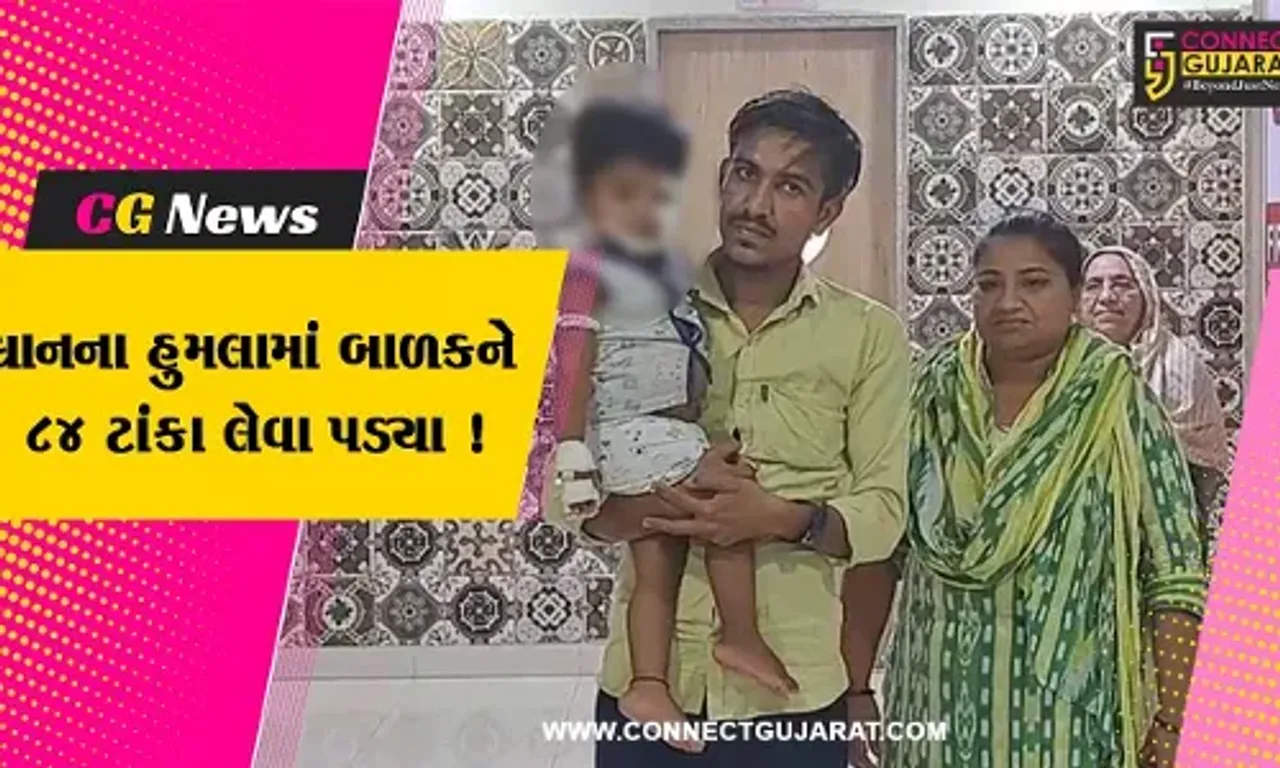સાબરકાંઠા: ઇડરના ગોરલ ગામમાં બે શ્વાનોએ બાળક પર કર્યો હુમલો, માતાએ શ્વાનના મોઢામાંથી દીકરાને ખેંચી જીવ બચાવ્યો