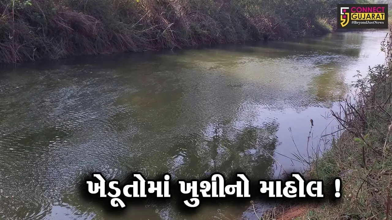 અરવલ્લી: મેશ્વો જળાશયમાંથી સિંચાઈ માટે પ્રથમ તબક્કામાં પાણી છોડવામાં આવ્યું,ધરતીપુત્રોમાં ખુશીનો માહોલ