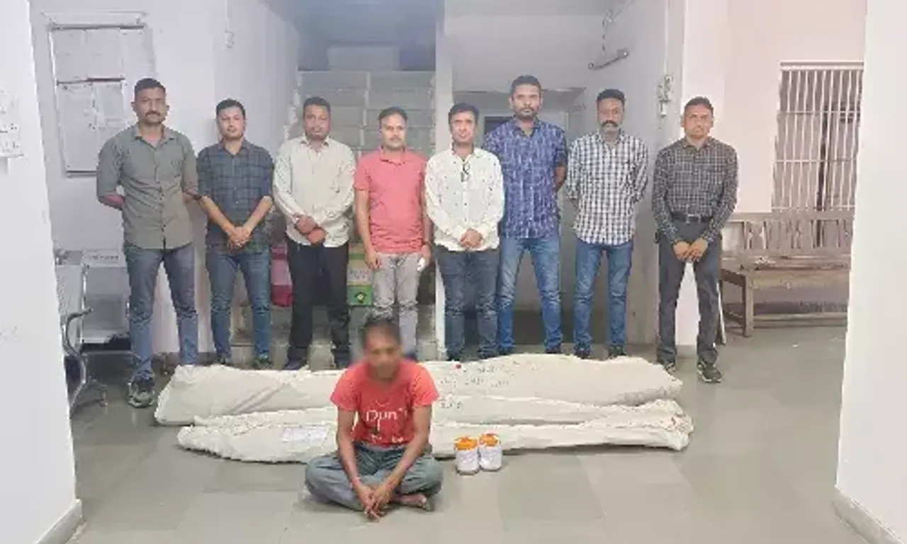 પંચમહાલના ઘોઘંબામાં SOGએ ગાંજાનું વાવેતર ઝડપી પાડ્યું, એક આરોપીની કરી ધરપકડ
