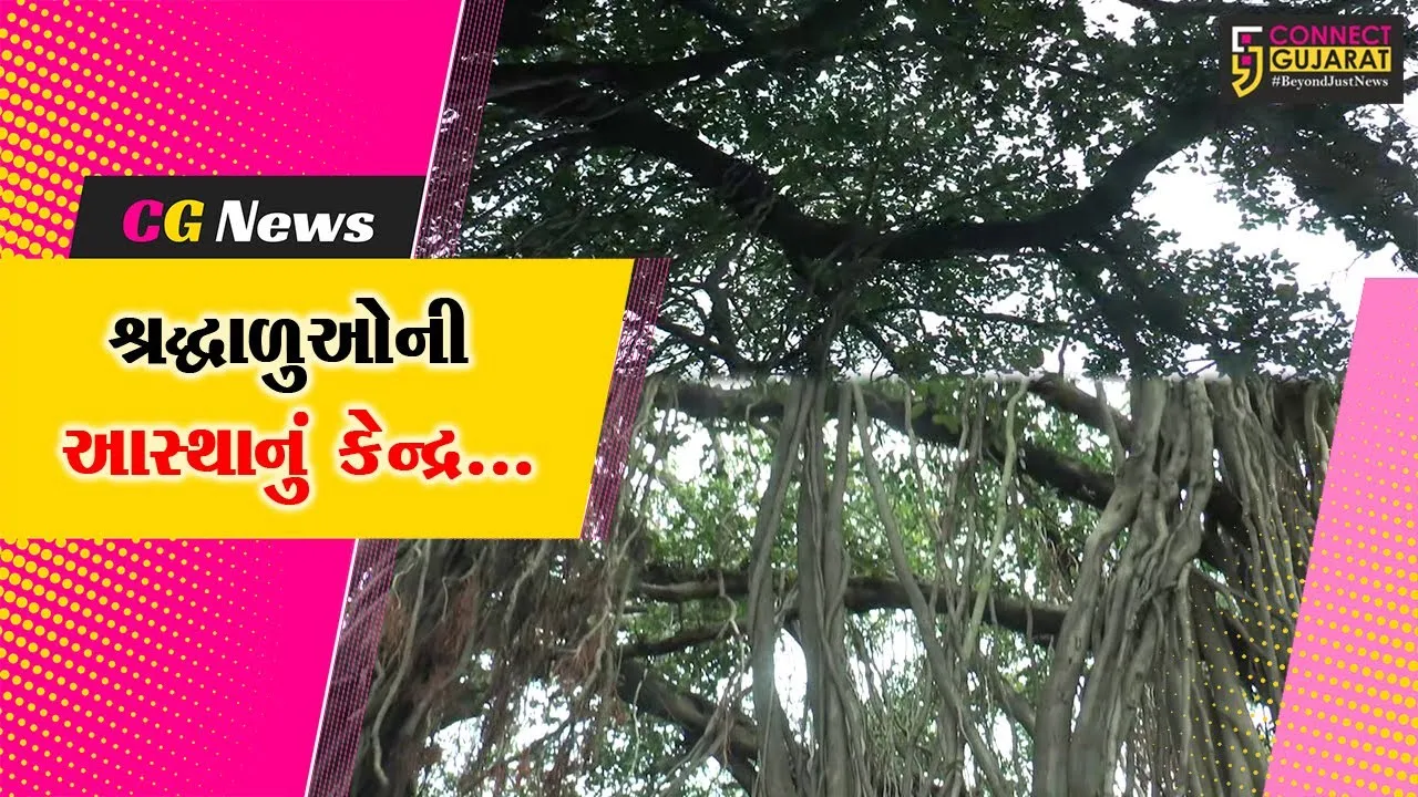 ગાંધીનગર : કંથારપુરા ગામે 500 વર્ષ જૂના વડની વડવાઈઓ સાથે બન્યો “મહાકાલી વડ”, જાણો પૌરાણિક મહત્વ..!