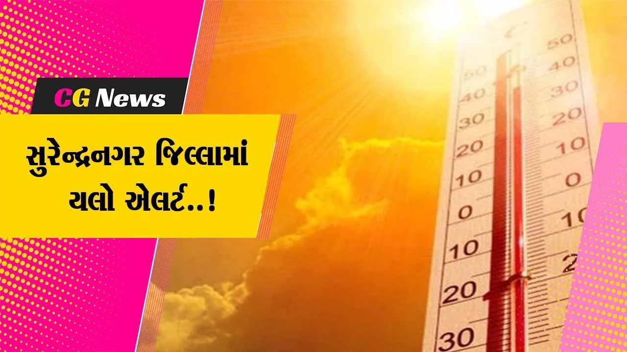 સુરેન્દ્રનગર : કાળઝાળ ગરમીનો પારો 43 ડીગ્રીને પાર, લોકોને હિટ વેવથી બચવા તંત્રની અપીલ...