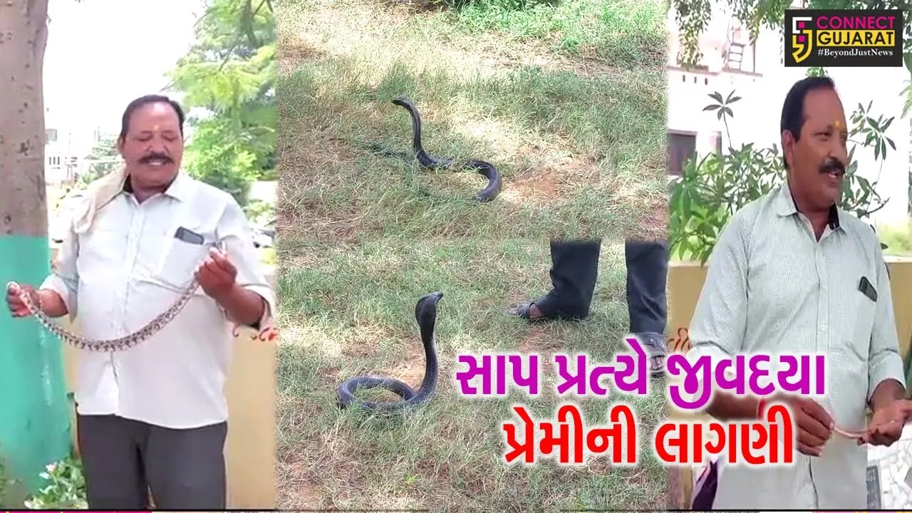 સાબરકાંઠા : હિન્દુ ધર્મમાં પવિત્ર મનાતી નાગપાંચમની પૂજા, જુઓ સાંપ પ્રત્યે જીવદયા પ્રેમીની લાગણી
