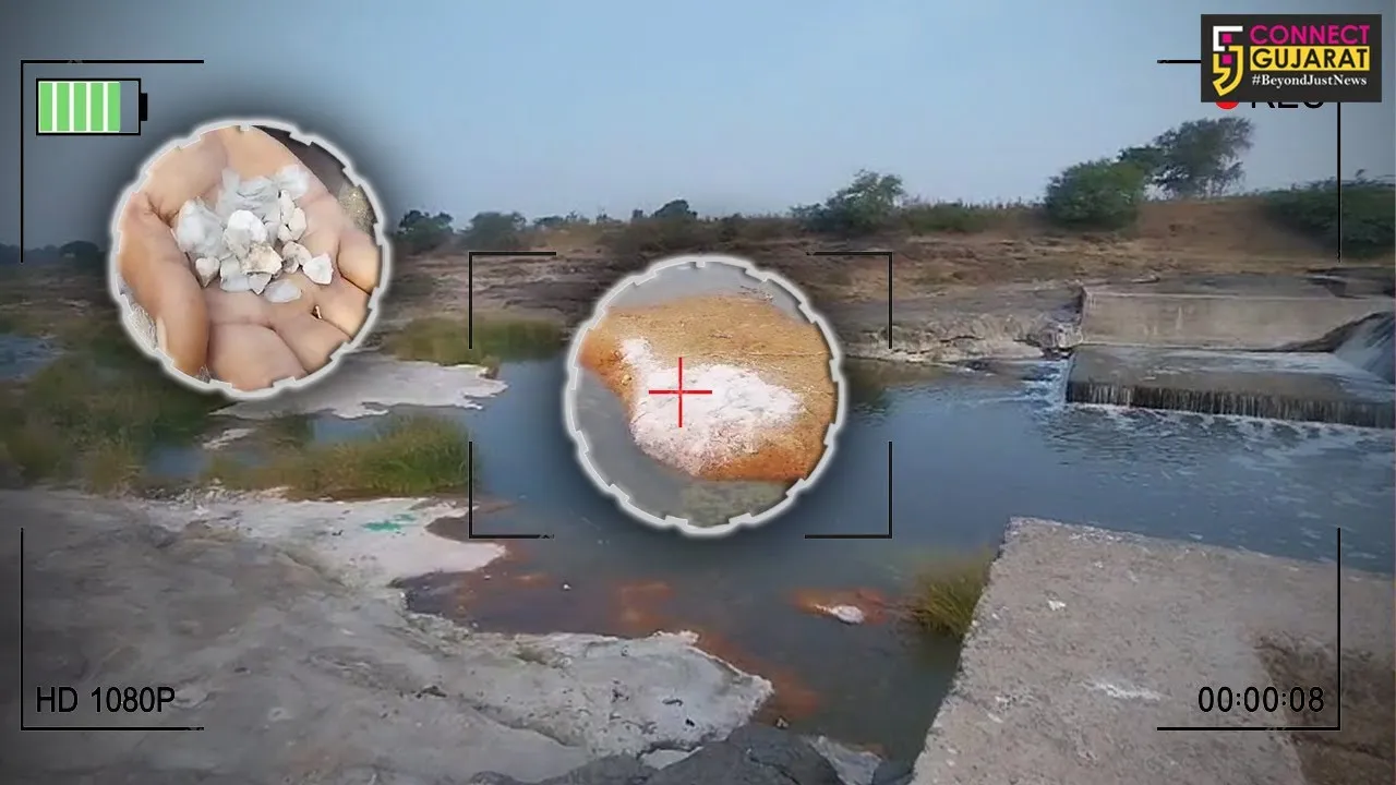 રાજકોટ: GPCBની ગંભીર બેદરકારી સામે આવી,જેતપુરના સાડી ઉધોગો દ્વારા નદીમાં છોડાઇ છે કેમિકલ યુક્ત પાણી