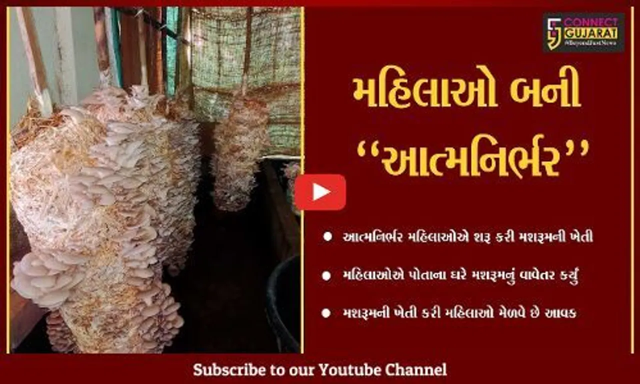 ડાંગ : મહિલાઓએ મકાનમાં જ શરૂ કરી મશરૂમની ખેતી, મબલક આવક મેળવી બની આત્મનિર્ભર