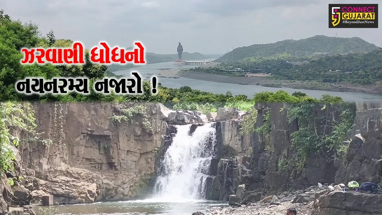 નર્મદા: ચોમાસાની સિઝનમાં ઝરવાણી ધોધ સોળે કળાએ ખીલી ઉઠયો,મોટી સંખ્યામાં ઉમટી રહ્યા છે પ્રવાસીઓ