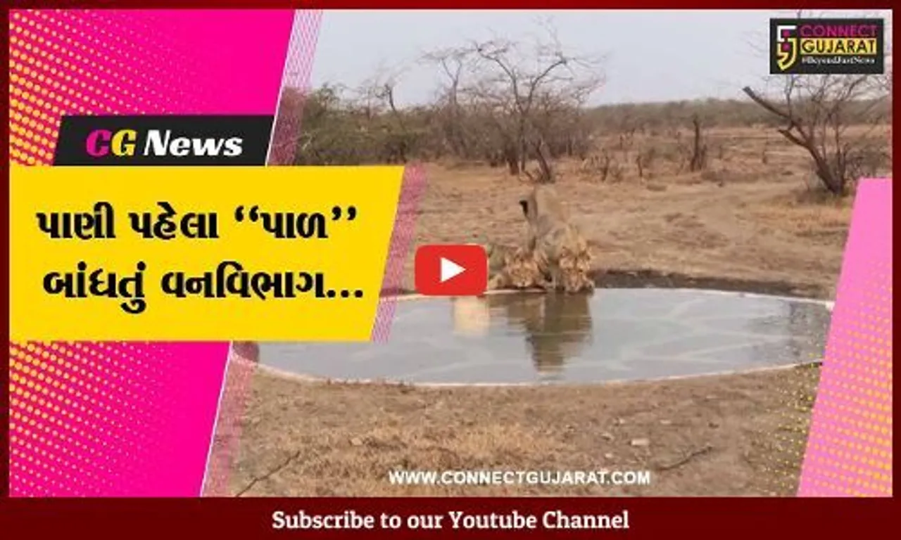અમરેલી : ગીરના ઘરેણાં ડાલામથ્થા સિંહો માટે ઉનાળામાં પીવાના પાણીની વ્યવસ્થા કરતું વનવિભાગ તંત્ર...