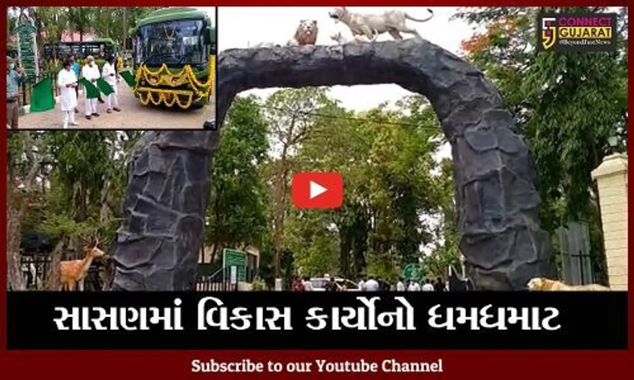 જુનાગઢ: સાસણ દેવળીયા પાર્કમાં સરકાર દ્વારા પ્રવાસીઓની સુવિધાઓમાં કરાયો વધારો