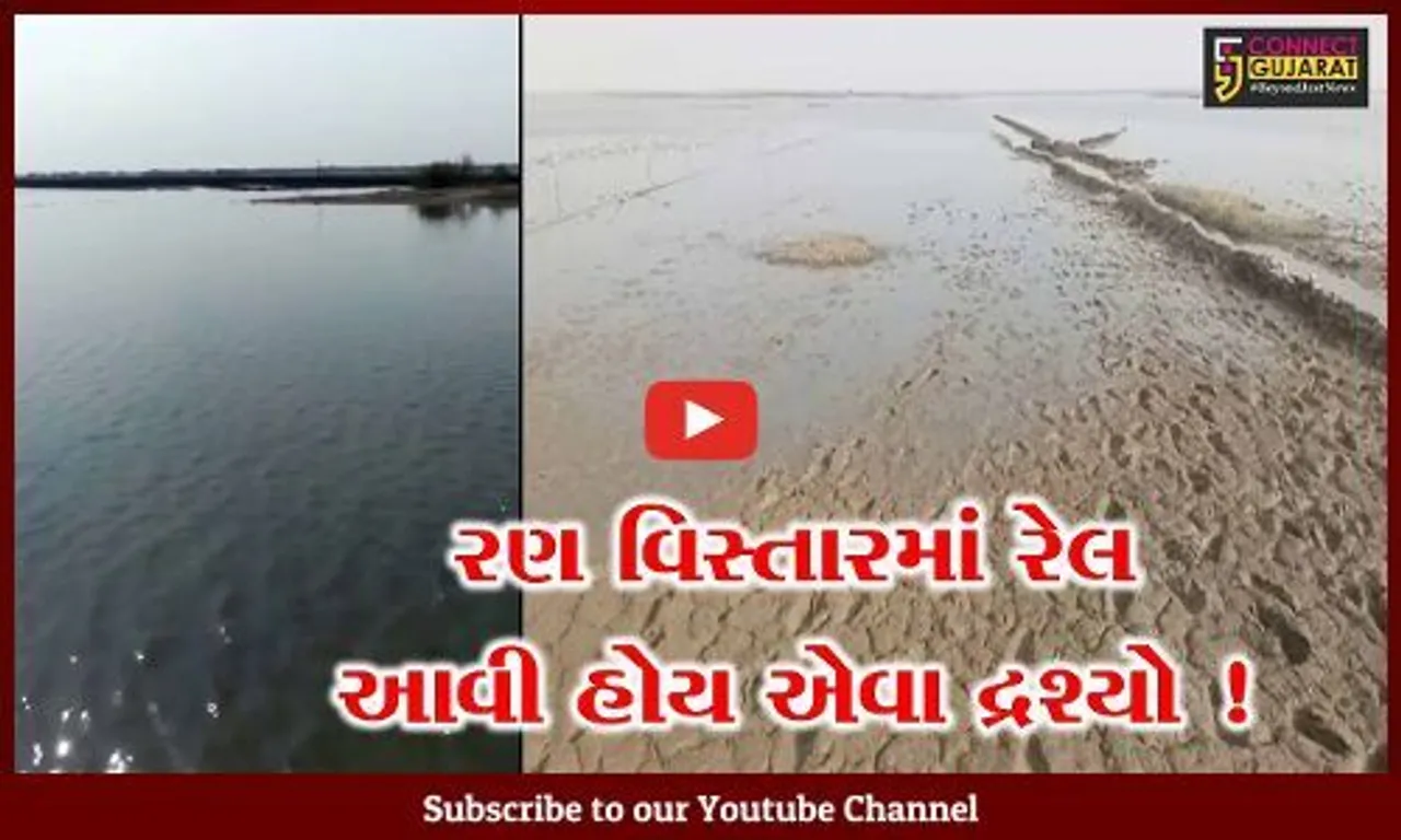 સુરેન્દ્રનગર: રણ વિસ્તારમાં નર્મદાનું પાણી ફરી વળ્યુ, મીઠુ પકવતા અગરીયાઓના માથે આફત
