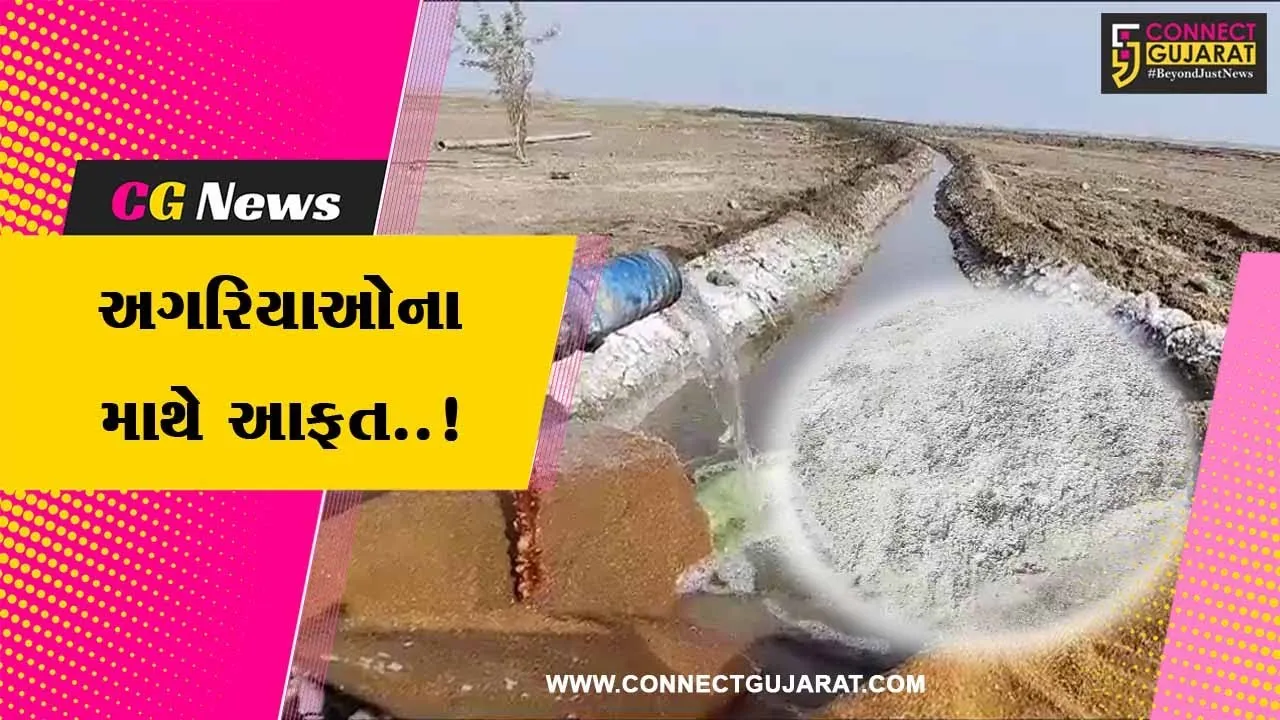 સુરેન્દ્રનગર : બ્રોમીનના ભાવ ગગડતા અગરિયાઓ સાથે ફેક્ટરી માલિકોને પણ થશે અસર..!