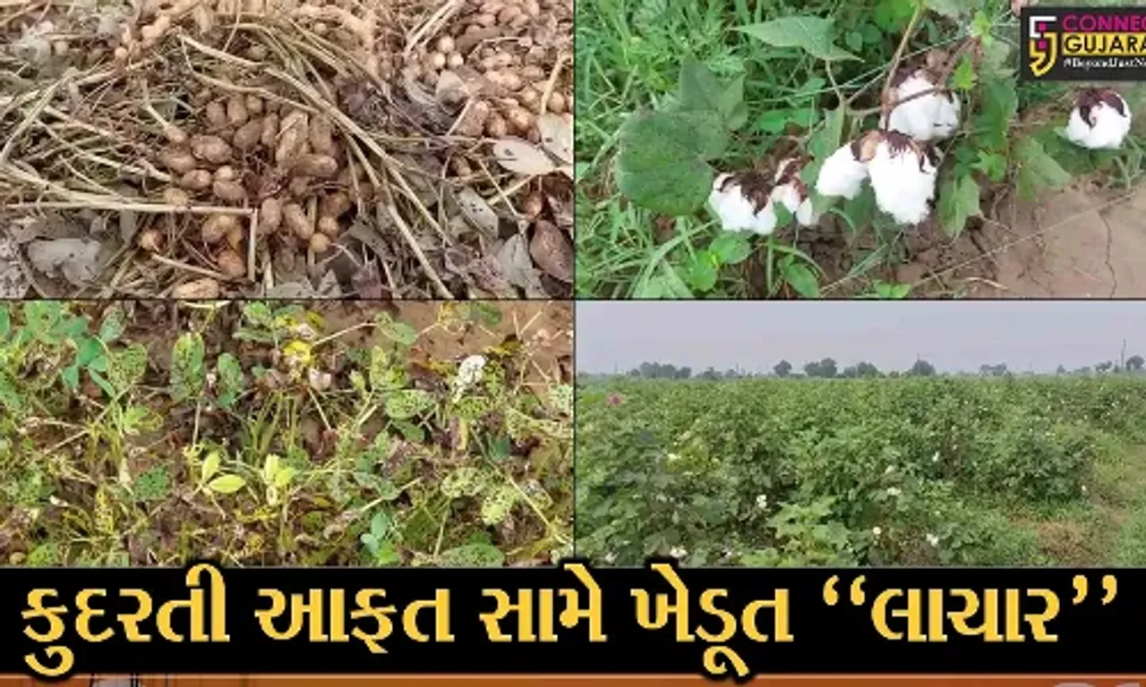 સાબરકાંઠા : પાછોતરો વરસાદ વરસતા ખેતી-પાકોમાં નુકસાન જવાની ભીતિ, ખેડૂતો બન્યા ચિંતિત...